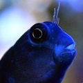 Avatar de l’utilisateur